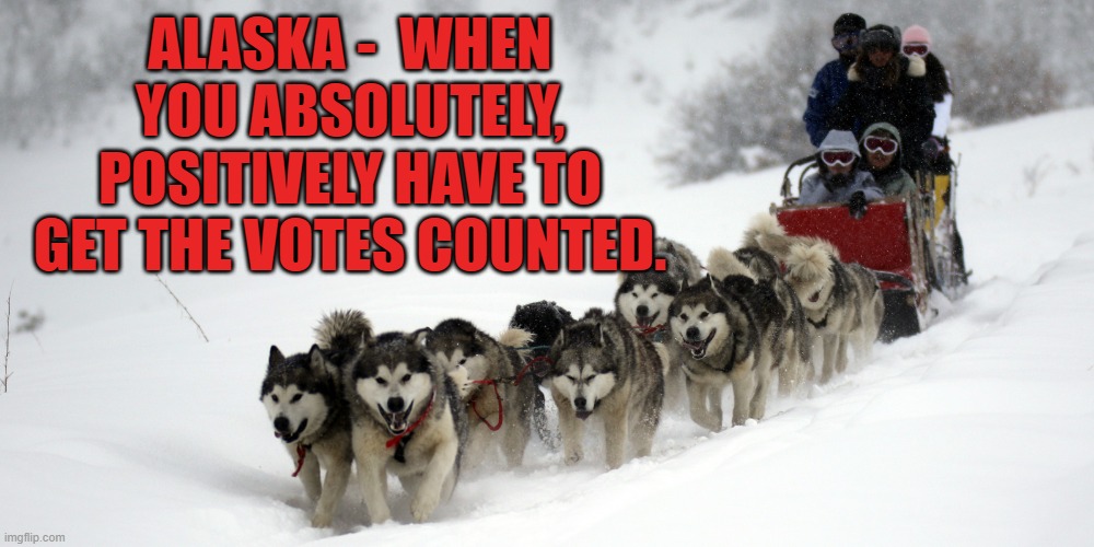 Alaska | ALASKA -  WHEN YOU ABSOLUTELY, POSITIVELY HAVE TO GET THE VOTES COUNTED. | image tagged in dog sled | made w/ Imgflip meme maker