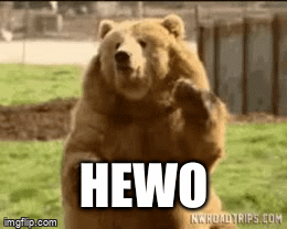 bear - Imgflip