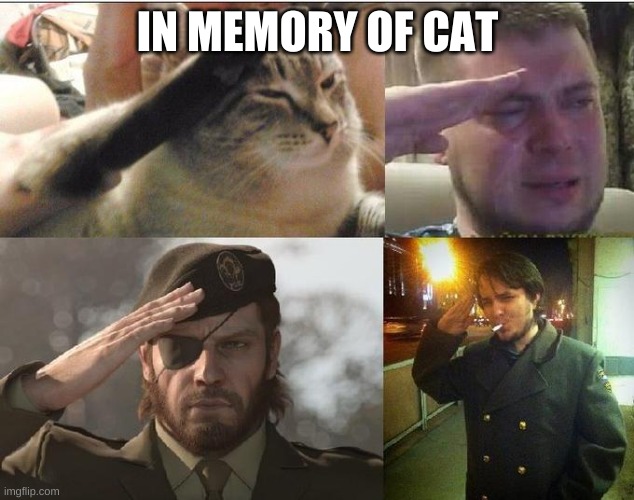 Ozon's Salute | IN MEMORY OF CAT | image tagged in ozon's salute | made w/ Imgflip meme maker