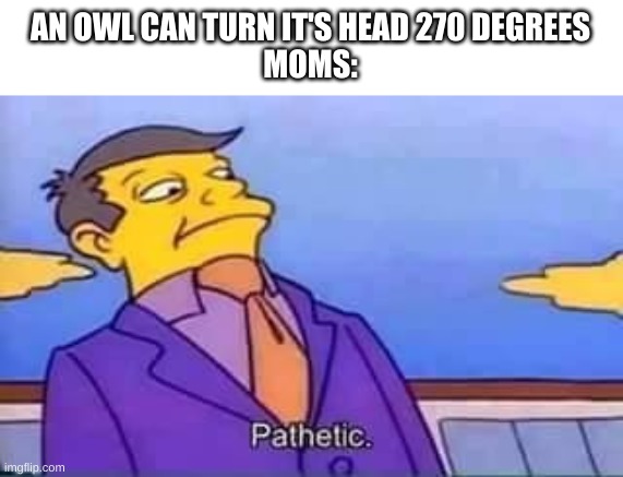 Moms... | AN OWL CAN TURN IT'S HEAD 270 DEGREES
MOMS: | image tagged in skinner pathetic,moms | made w/ Imgflip meme maker