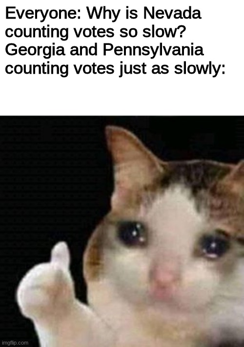 Acknowledge them | Everyone: Why is Nevada counting votes so slow?
Georgia and Pennsylvania counting votes just as slowly: | image tagged in sad thumbs up cat,nevada | made w/ Imgflip meme maker