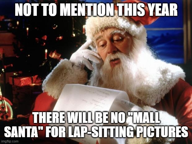 dear santa | NOT TO MENTION THIS YEAR THERE WILL BE NO "MALL SANTA" FOR LAP-SITTING PICTURES | image tagged in dear santa | made w/ Imgflip meme maker