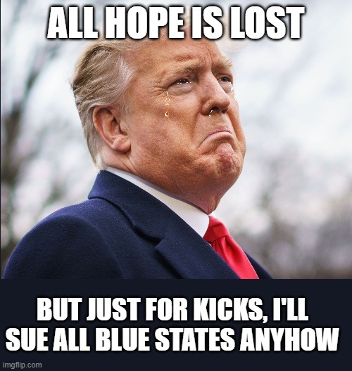 I never loose, as long as I CAN SUE | BUT JUST FOR KICKS, I'LL SUE ALL BLUE STATES ANYHOW | image tagged in trump,sobbing,loser,snot,election 2020 | made w/ Imgflip meme maker