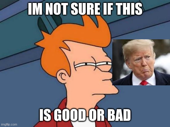 Futurama Fry | IM NOT SURE IF THIS; IS GOOD OR BAD | image tagged in memes,futurama fry | made w/ Imgflip meme maker