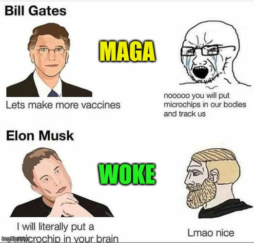 microsoft tesla microchips gates musk woke maga | MAGA; WOKE | image tagged in microsoft tesla microchips gates musk woke maga,microchips in your brain,microchips in vaccines,covid-19,elon musk,bill gates | made w/ Imgflip meme maker