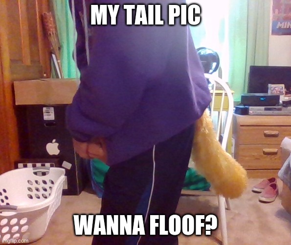 tail pic yay :D | MY TAIL PIC; WANNA FLOOF? | image tagged in tail,furry | made w/ Imgflip meme maker