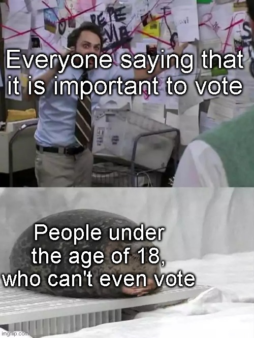 y tho | Everyone saying that it is important to vote; People under the age of 18, who can't even vote | image tagged in man explaining to seal | made w/ Imgflip meme maker