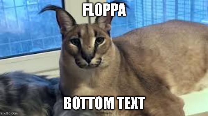 FLOPPA | FLOPPA; BOTTOM TEXT | image tagged in floppa | made w/ Imgflip meme maker