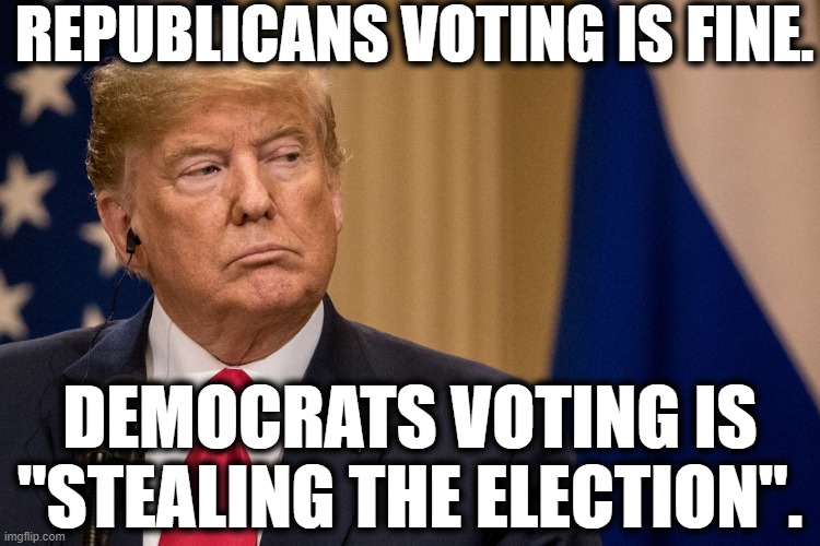 Loser | REPUBLICANS VOTING IS FINE. DEMOCRATS VOTING IS "STEALING THE ELECTION". | image tagged in donald trump,loser,republicans,democrats,voting,election 2020 | made w/ Imgflip meme maker
