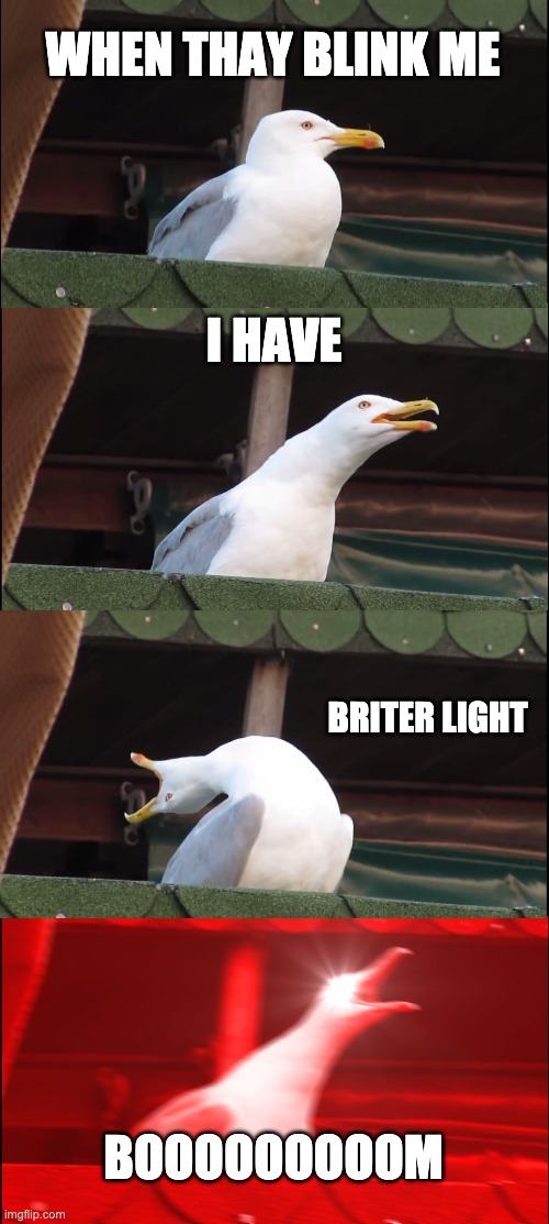 Inhaling Seagull Meme | WHEN THAY BLINK ME; I HAVE; BRITER LIGHT; BOOOOOOOOOM | image tagged in memes,inhaling seagull | made w/ Imgflip meme maker