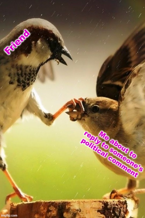 When I'm about to unleash and a friend stops me... | Friend; Me about to reply to someone's political comment | image tagged in shut up,politics,birds,memes | made w/ Imgflip meme maker