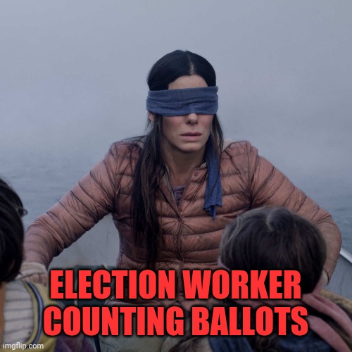 Bird Box | ELECTION WORKER COUNTING BALLOTS | image tagged in memes,bird box | made w/ Imgflip meme maker