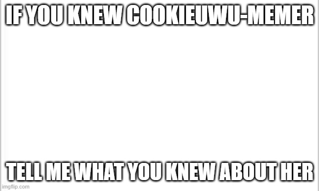 lets just say i have a little plan in the future | IF YOU KNEW COOKIEUWU-MEMER; TELL ME WHAT YOU KNEW ABOUT HER | image tagged in white background | made w/ Imgflip meme maker