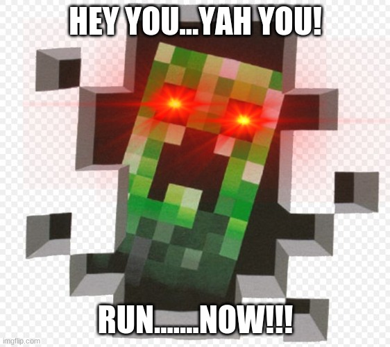 HEY YOU...YAH YOU! RUN.......NOW!!! | image tagged in creeper | made w/ Imgflip meme maker