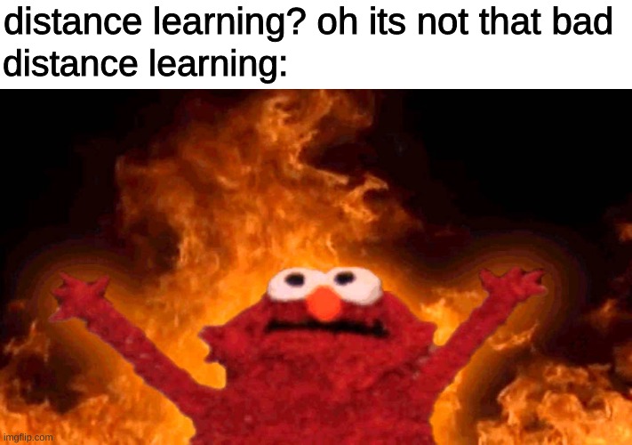 a meme fresh from the basement of a socially deprived distance learner | distance learning? oh its not that bad; distance learning: | image tagged in elmo fire,quarantine,online school | made w/ Imgflip meme maker