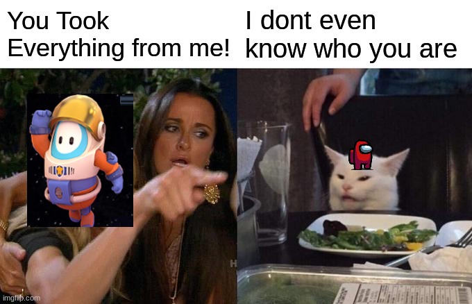 Aint Gonna End good | You Took Everything from me! I dont even know who you are | image tagged in memes,woman yelling at cat | made w/ Imgflip meme maker