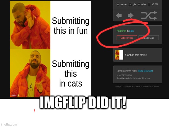 TY SO MUCH IMGFLIP | IMGFLIP DID IT! | image tagged in imgflip,cats,funny,thank you | made w/ Imgflip meme maker