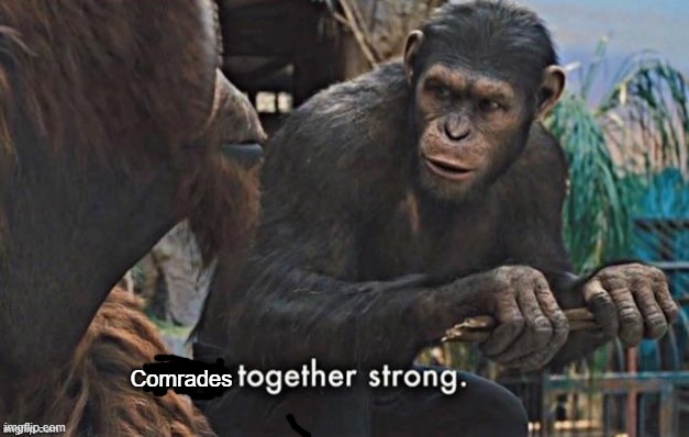 apes together strong | Comrades | image tagged in apes together strong | made w/ Imgflip meme maker