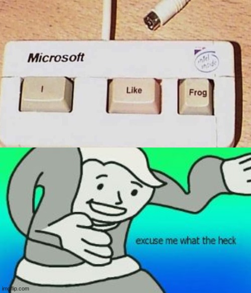 wat da hek is dis | image tagged in excuse me what the heck | made w/ Imgflip meme maker