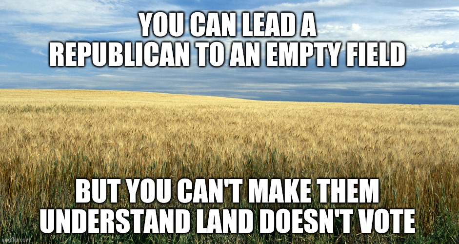 For those still confused by that red and blue map | YOU CAN LEAD A REPUBLICAN TO AN EMPTY FIELD; BUT YOU CAN'T MAKE THEM UNDERSTAND LAND DOESN'T VOTE | image tagged in republicans,special kind of stupid | made w/ Imgflip meme maker