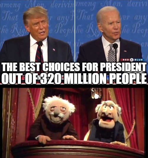 Trump Biden 2020 | THE BEST CHOICES FOR PRESIDENT; OUT OF 320 MILLION PEOPLE | image tagged in trump and clone joe debate 2020,statler and waldorf | made w/ Imgflip meme maker