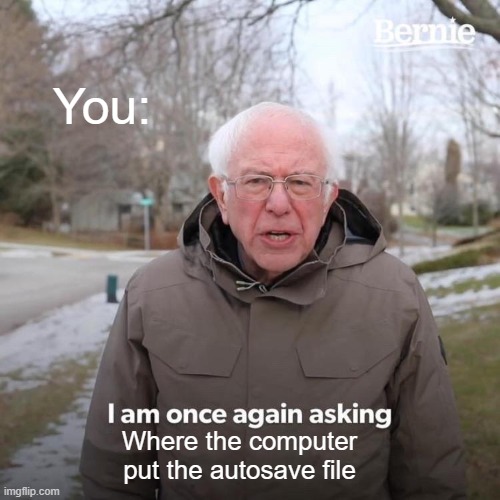 Bernie I Am Once Again Asking For Your Support | You:; Where the computer put the autosave file | image tagged in memes,bernie i am once again asking for your support | made w/ Imgflip meme maker