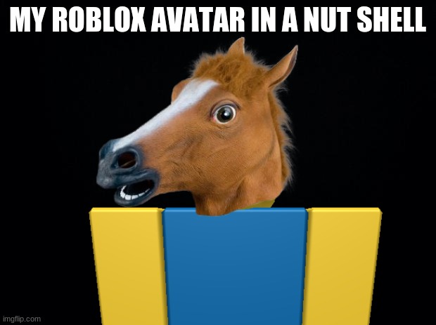MY ROBLOX AVATAR IN A NUT SHELL | image tagged in roblox | made w/ Imgflip meme maker