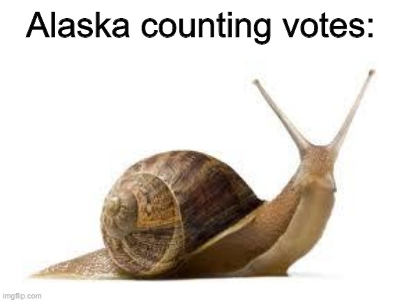 5 0 %  C O U N T E D | Alaska counting votes: | image tagged in snail,politics,american politics | made w/ Imgflip meme maker
