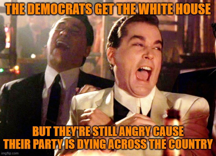 Good Fellas Hilarious Meme | THE DEMOCRATS GET THE WHITE HOUSE; BUT THEY'RE STILL ANGRY CAUSE THEIR PARTY IS DYING ACROSS THE COUNTRY | image tagged in memes,good fellas hilarious | made w/ Imgflip meme maker