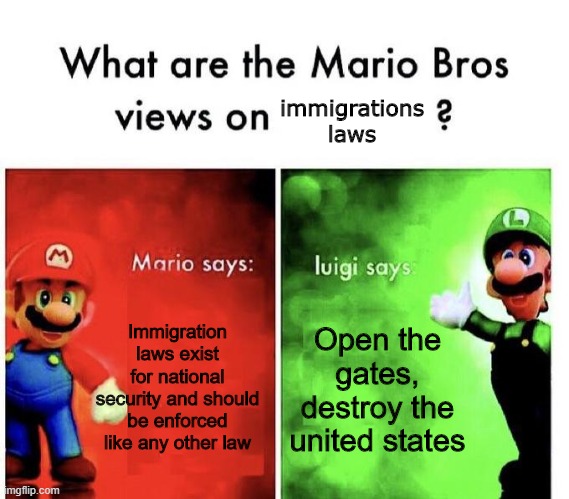 Mario bros views on immigration laws | immigrations laws; Immigration laws exist for national security and should be enforced like any other law; Open the gates, destroy the united states | image tagged in mario bros views | made w/ Imgflip meme maker