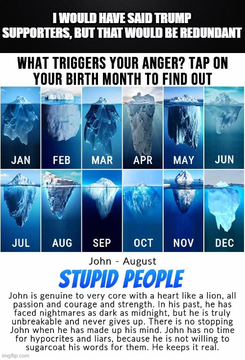 Amazingly accurate. | I WOULD HAVE SAID TRUMP SUPPORTERS, BUT THAT WOULD BE REDUNDANT | image tagged in trump,facebook tests,stupid people | made w/ Imgflip meme maker