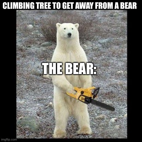 Chainsaw Bear | CLIMBING TREE TO GET AWAY FROM A BEAR; THE BEAR: | image tagged in memes,chainsaw bear | made w/ Imgflip meme maker