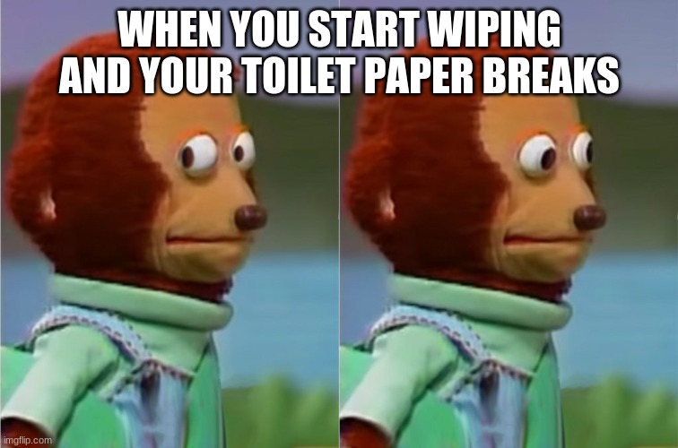 Oops | WHEN YOU START WIPING AND YOUR TOILET PAPER BREAKS | image tagged in yeet | made w/ Imgflip meme maker