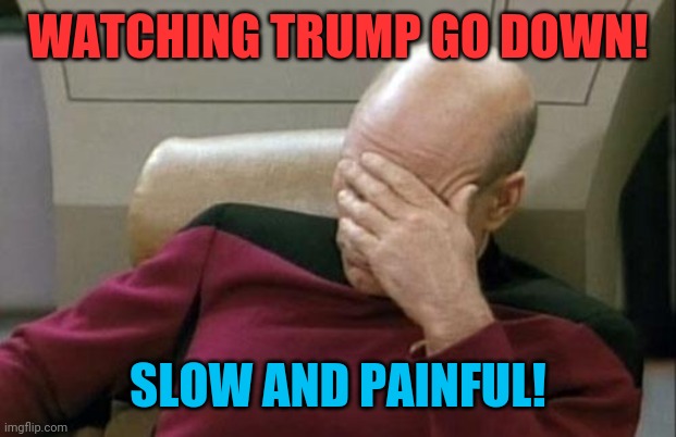 Every trumper right now! | WATCHING TRUMP GO DOWN! SLOW AND PAINFUL! | image tagged in memes,captain picard facepalm,donald trump,election 2020 | made w/ Imgflip meme maker