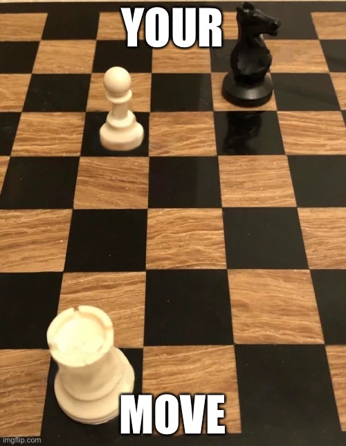 Checkmate | YOUR MOVE | image tagged in checkmate | made w/ Imgflip meme maker