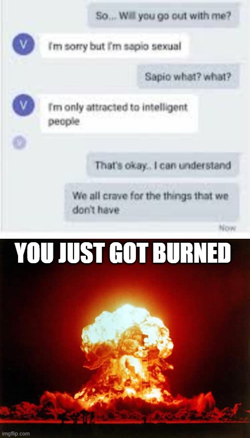 epic | YOU JUST GOT BURNED | image tagged in memes,nuclear explosion,funny,burned,roasted | made w/ Imgflip meme maker