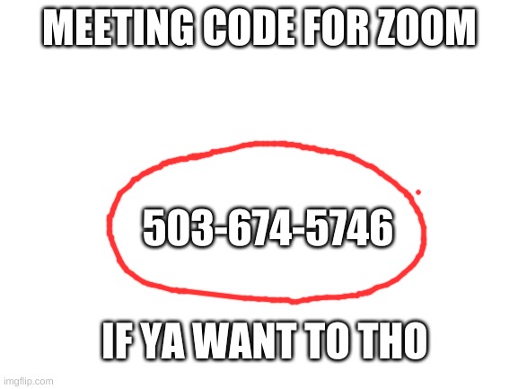 IDK Y I DID DIS.... | MEETING CODE FOR ZOOM; 503-674-5746; IF YA WANT TO THO | image tagged in blank white template | made w/ Imgflip meme maker