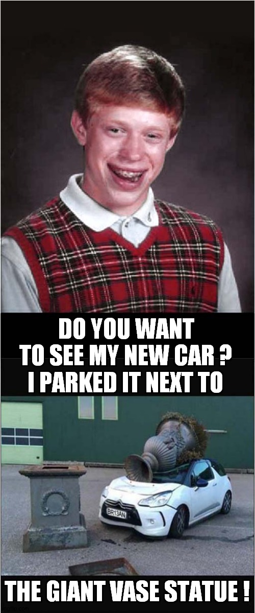 Bad Luck Brians  New Car | DO YOU WANT TO SEE MY NEW CAR ? I PARKED IT NEXT TO; THE GIANT VASE STATUE ! | image tagged in fun,bad luck brian,car | made w/ Imgflip meme maker