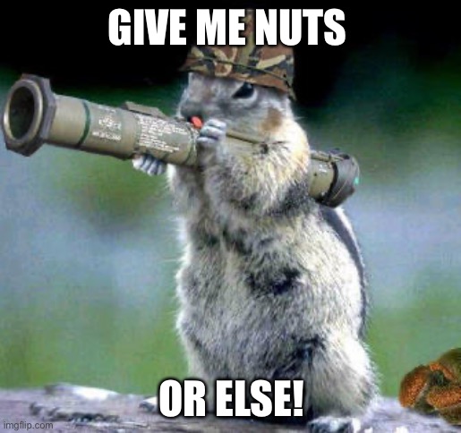 Bazooka Squirrel | GIVE ME NUTS; OR ELSE! | image tagged in memes,bazooka squirrel | made w/ Imgflip meme maker