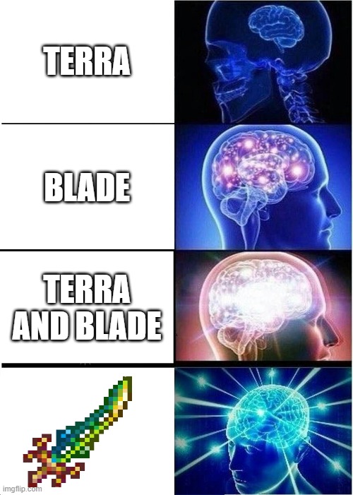 Expanding Brain | TERRA; BLADE; TERRA AND BLADE | image tagged in memes,expanding brain | made w/ Imgflip meme maker