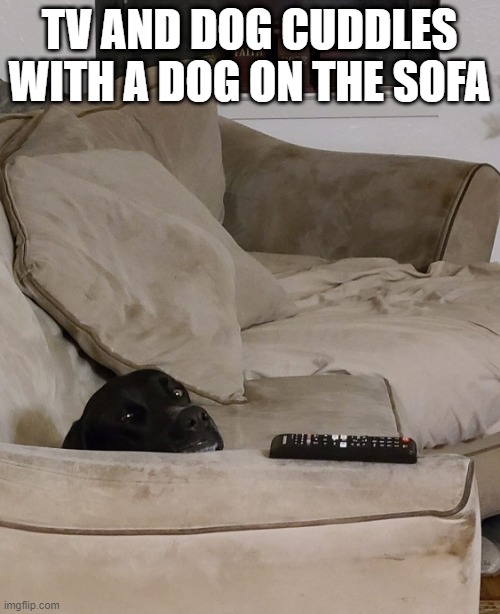 TV AND DOG CUDDLES WITH A DOG ON THE SOFA | made w/ Imgflip meme maker