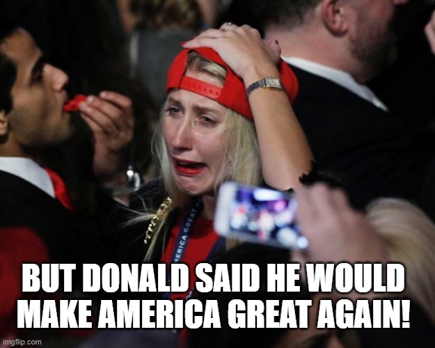 Sad Trumper | BUT DONALD SAID HE WOULD MAKE AMERICA GREAT AGAIN! | image tagged in sad trumper | made w/ Imgflip meme maker