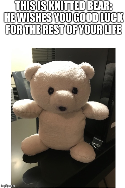 Hope you like | THIS IS KNITTED BEAR: HE WISHES YOU GOOD LUCK FOR THE REST OF YOUR LIFE | image tagged in knitting,polar bear | made w/ Imgflip meme maker