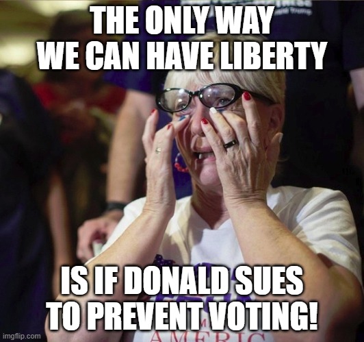 Sad Trumper 2 | THE ONLY WAY WE CAN HAVE LIBERTY; IS IF DONALD SUES TO PREVENT VOTING! | image tagged in sad trumper 2 | made w/ Imgflip meme maker