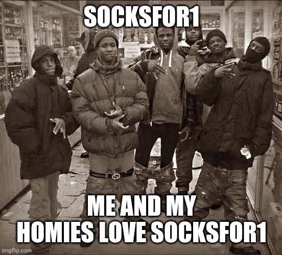 Me and my homies | SOCKSFOR1; ME AND MY HOMIES LOVE SOCKSFOR1 | image tagged in me and my homies | made w/ Imgflip meme maker