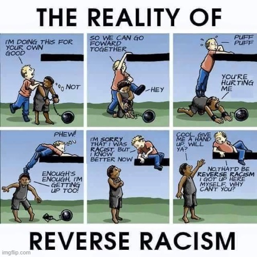 reality of reverse racism | image tagged in racism,white privilege,black lives matter,blm | made w/ Imgflip meme maker