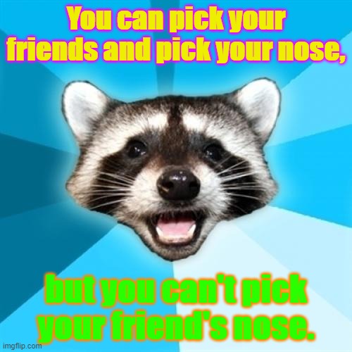 Lame Pun Coon Meme | You can pick your friends and pick your nose, but you can't pick your friend's nose. | image tagged in memes,lame pun coon | made w/ Imgflip meme maker