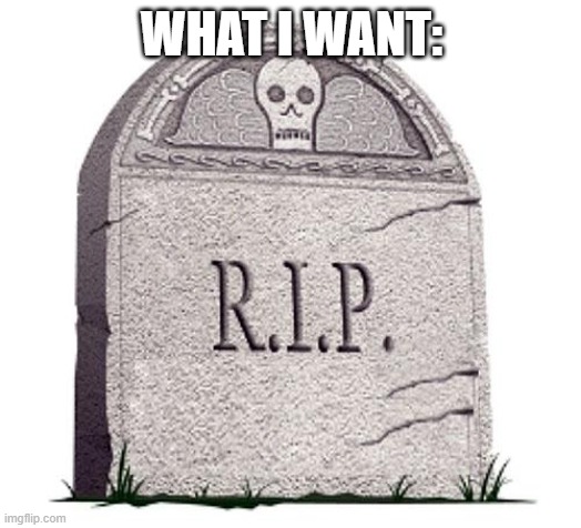 RIP | WHAT I WANT: | image tagged in rip | made w/ Imgflip meme maker