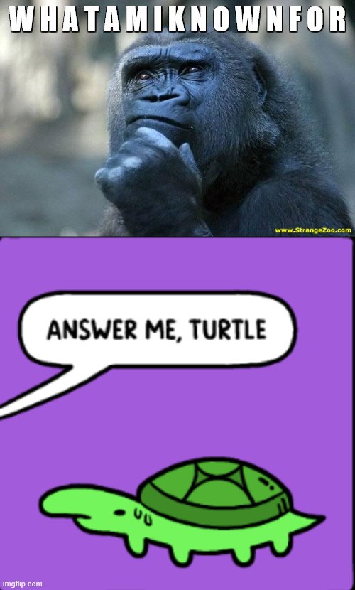 y e e t | W H A T A M I K N O W N F O R | image tagged in deep thoughts,answer me turtle | made w/ Imgflip meme maker