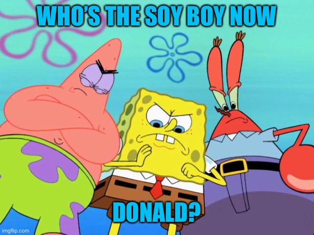 Spongebob - Time for revenge | WHO’S THE SOY BOY NOW DONALD? | image tagged in spongebob - time for revenge | made w/ Imgflip meme maker